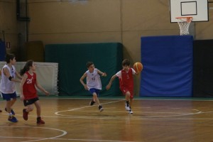 img_8074