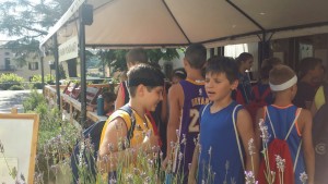 img-20170703-wa0066